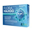 Flora MAXGG, kapsułki, 20 szt.