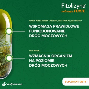 Fitolizyna nefrocaps FORTE, kapsułki, 60 szt.