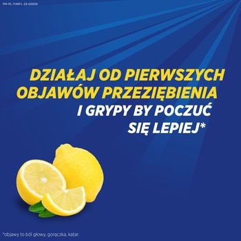 Theraflu Zatoki, 650 mg+10 mg, proszek do sporządzenia roztworu doustnego, 14 saszetek