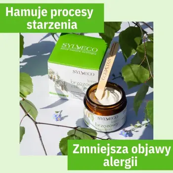 Sylveco, krem brzozowy z betuliną, 50 ml
