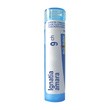 Boiron Ignatia amara, 9CH, granulki, 4 g