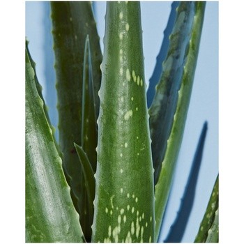 Nivea Men Protect & Care, ochronny krem do golenia, 100 ml