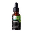 Sati Labs Adaptogen, Rhodiola Różeniec Górski, krople, 50 ml