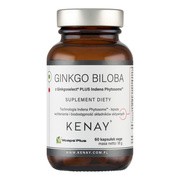 KENAY Ginkgo Biloba z Ginkgoselect Plus Indena Phytosome TM, kapsułki, 60 szt.