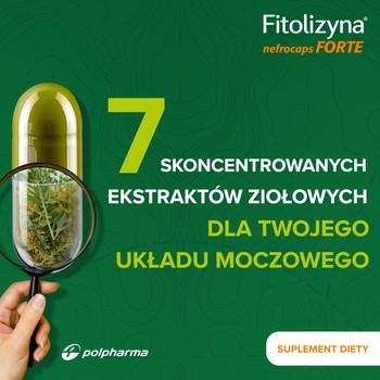 Fitolizyna nefrocaps FORTE, kapsułki, 60 szt.