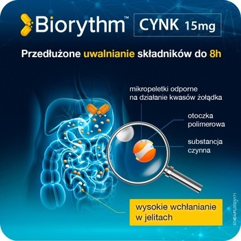 Biorythm Cynk 15 mg, kapsułki o przedłużonym uwalnianiu, 30 szt.