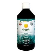 Joy Day, Eko koncentrat napoju probiotycznego, mięta, 500 ml