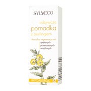 Sylveco, pomadka odżywcza z peelingiem, 4,6 g