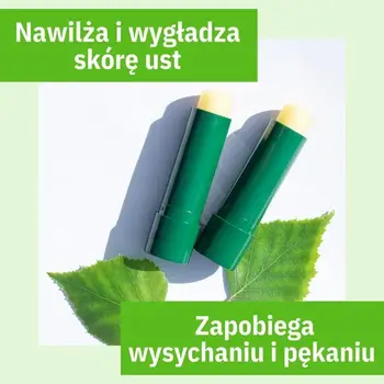 Sylveco, brzozowa pomadka z betuliną, 4,6 g