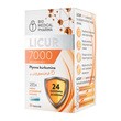 Licur 7000 z witaminą D, kapsułki twarde, 30 szt.