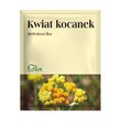 Kwiatostan kocanek, zioło pojedyncze, 50 g (Flos)