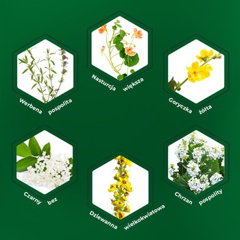 Sinulan Duo Forte, tabletki powlekane, 60 szt.