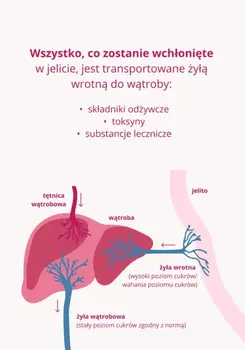 Omni Biotic Hetox, saszetki z proszkiem, 6 g x 30 szt.