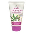 Gorvita, Maść żywokostowa z olejem CBD, 140 ml