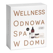 Zestaw Promocyjny Ziaja Baltic Home SPA Wellness, krem do twarzy, 50 ml + żel pod prysznic, 500 ml + peeling do ciała, 300 ml + krem do ciała, 300 ml