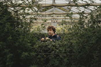 Dr.Hauschka, olejek regulujący na dzień, 18 ml