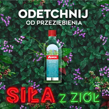 Amol, płyn, 100 ml