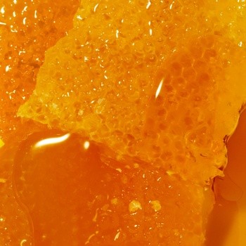 Nuxe Reve de Miel, Ultrabogaty żel do mycia ciała i twarzy, 750 ml