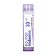 Boiron Poumon histamine, 30 CH, granulki, 4g