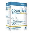 XenicoPharma Colostrum bovinum Xenico, kapsułki, 60 szt.
