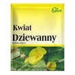 Flos, Kwiat Dziewanny, herbatka ziołowa, 50 g