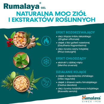 Rumalaya, żel do masażu łagodzący ból, 50 g