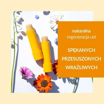 Sylveco, pomadka odżywcza z peelingiem, 4,6 g