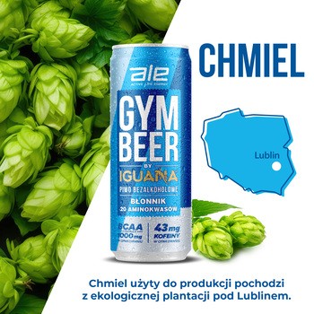 Zestaw 4 x ALE Gym Beer by Iguana