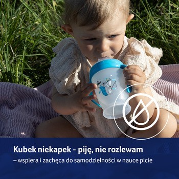 Canpol Lovi Sippy Master, kubek niekapek, Buddy Bear, 250 ml, 1 szt.