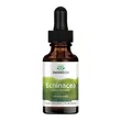 Swanson Echinacea liquid extract, płyn, 29,6 ml