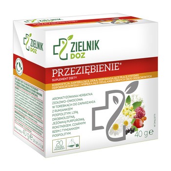 Zielnik DOZ Przeziębienie, herbatka owocowa-ziołowa, 2 g, 20 szt.