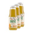 Zestaw 3x Plan by DOZ Smoothie o smaku dynia, kokos, 300 ml