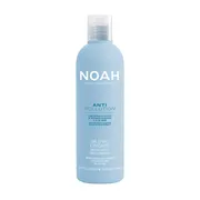 NOAH Anti Pollution, detoksykująca odżywka nawilżająca z ekstraktem aloesu i moringa oleifera, 250 ml