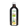 ZIELNIK DOZ Syrop Imbirowy, 250 ml