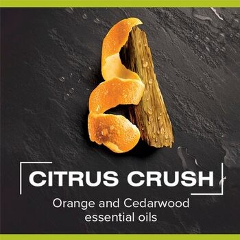 Palmolive Men Citrus Crush, żel pod prysznic 3w1, 500 ml