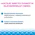 Multilac Baby, krople, synbiotyk (probiotyk + prebiotyk), 2x5 ml