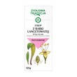 Ziołowa Tradycja Syrop z babki lancetowatej, 674 mg/5 ml, syrop, 125 g