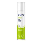 Inteno Fresh, suchy szampon do włosów, 300 ml