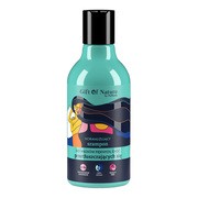 Gift of Nature by Vis Plantis, szampon normalizujący do włosów przetłuszczających się, 300 ml