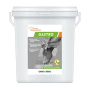 Yarrowia Equinox Gastro, granulat, 1,5 kg