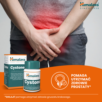 Himalaya Cystone, tabletki, 100 szt.